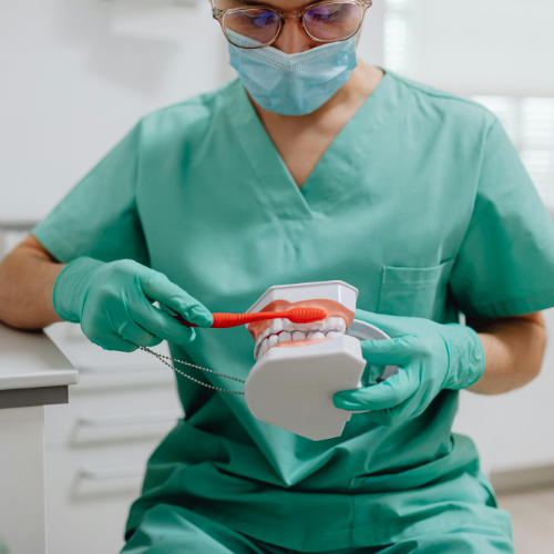 Dental professional demonstrating proper brushing technique using a tooth model